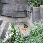 DSCN2110
