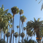 DSCN2202