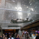 DSCN2204