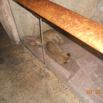 DSCN2205