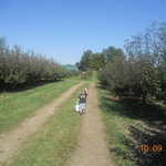 DSCN2273