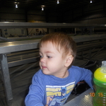 DSCN2286
