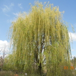 DSCN2642