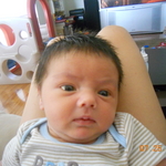 DSCN0239
