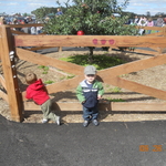 DSCN0577