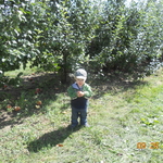 DSCN0579