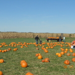 DSCN0719