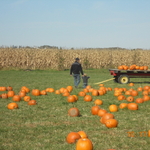 DSCN0720