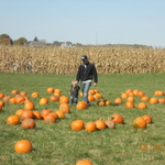 DSCN0721