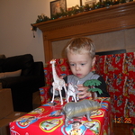 DSCN0941