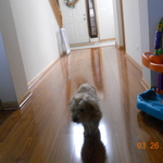 DSCN1228
