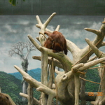 DSCN1432