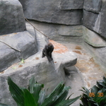 DSCN1435