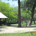 DSCN1440